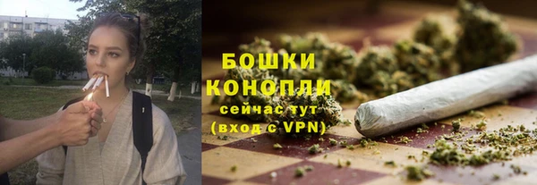 амф Надым