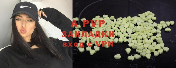амф Надым