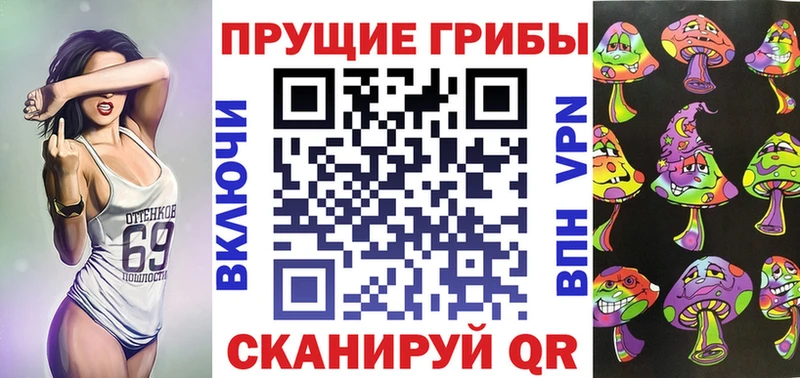 закладки  Аткарск  Галлюциногенные грибы Cubensis 